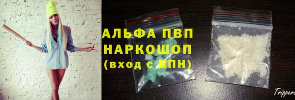 крисы Алзамай