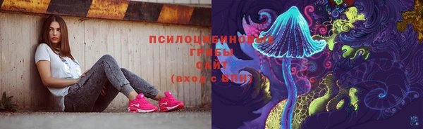 ГАЛЛЮЦИНОГЕННЫЕ ГРИБЫ Абаза