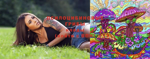 ГАЛЛЮЦИНОГЕННЫЕ ГРИБЫ Абаза