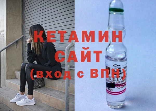 крисы Алзамай