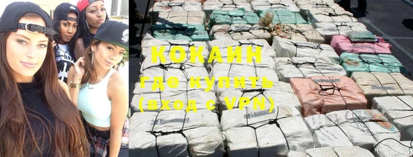 ГАЛЛЮЦИНОГЕННЫЕ ГРИБЫ Абаза