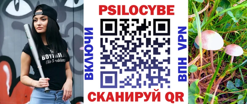 наркотики Болгар Галлюциногенные грибы ЛСД